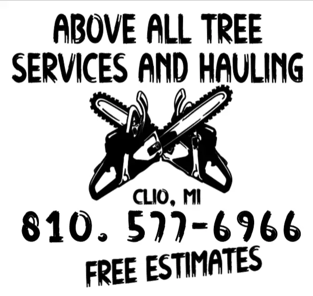 Above All Tree Services and Hauling